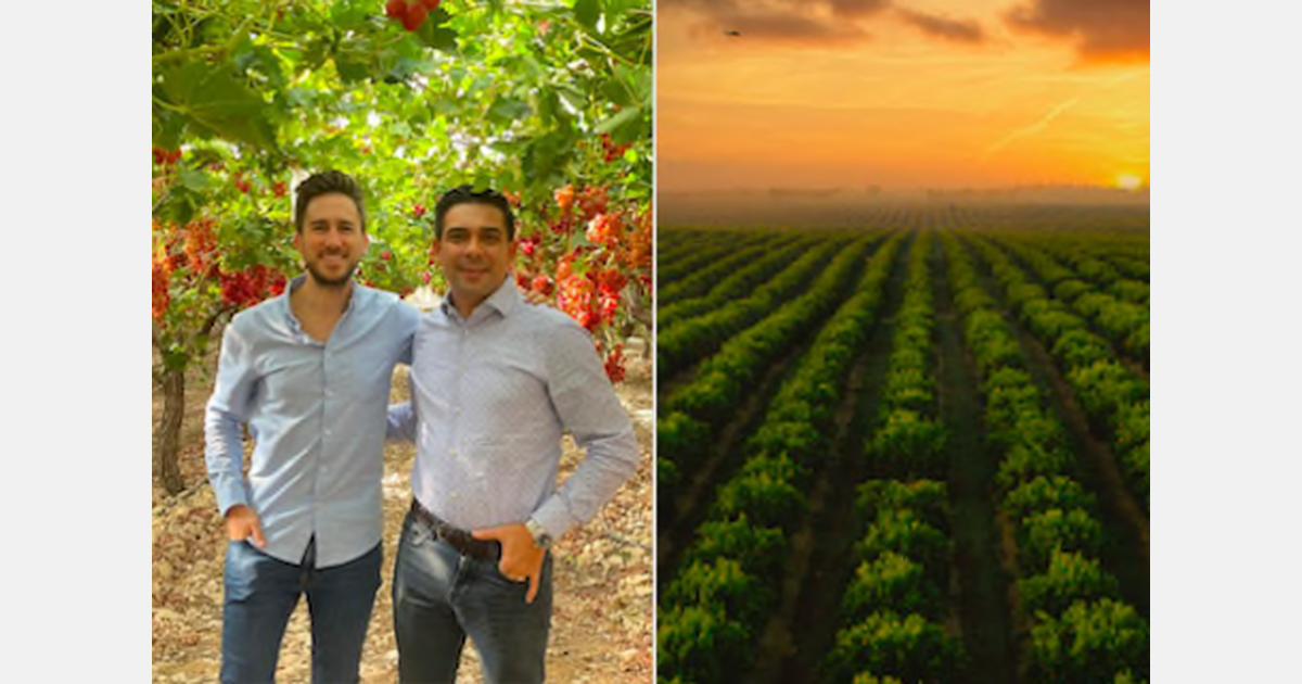 AM FRESH 集团收购 FruitX 的控股权，以引领品种创新并重新定义在亚洲的农产品体验