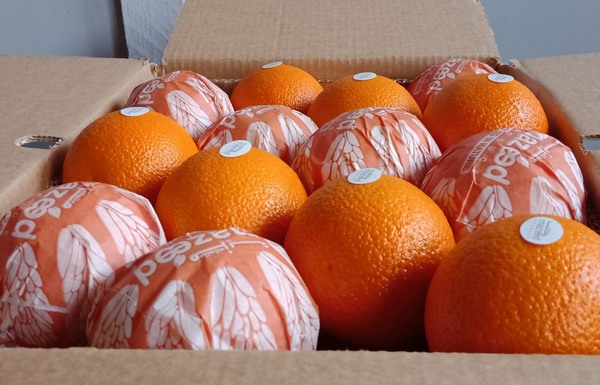 由于运费上涨本季巴伦西亚橙的价格略高