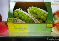 Shine Muskat grape is a very popular variety on the regional market. //阳光玫瑰葡萄是该区域市场上非常受欢迎的品种。
