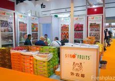 SinoFruits suppliers fruits and vegetables from China to Southeast Asia. The company wants to expand its business in Japan and Europe. A key product are its citrus fruits.SinoFruits 将中国水果和蔬菜供应到东南亚。该公司希望扩大其在日本和欧洲的业务。一个关键产品是它的柑橘类水果。